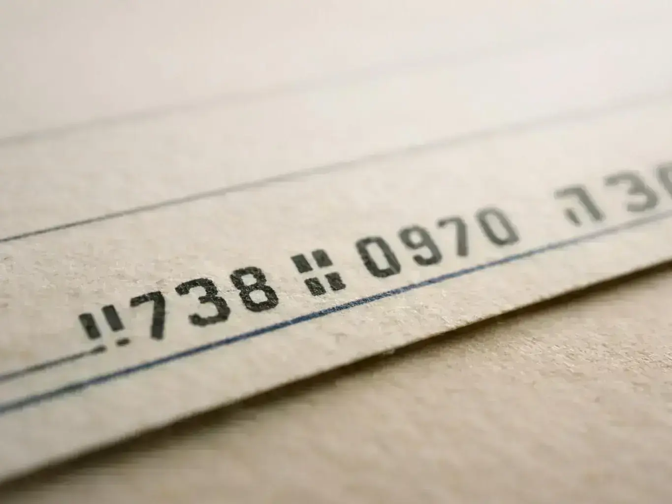 eCheck Payment Processing Bronx — overview